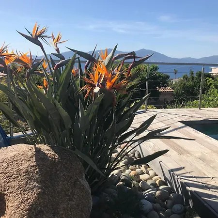 4 Etoiles 3 Vue Ajaccio Pietrosella